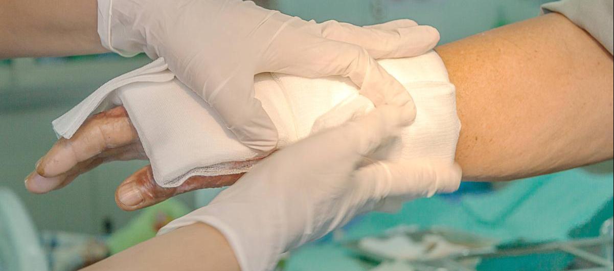 Imagen de referencia.