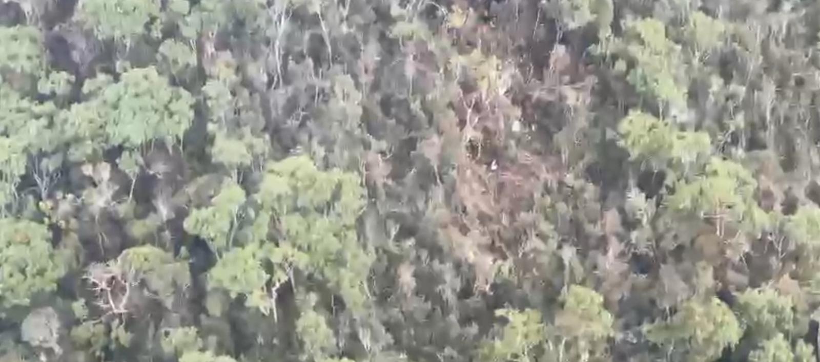 Lugar donde vieron los restos de la aeronave.