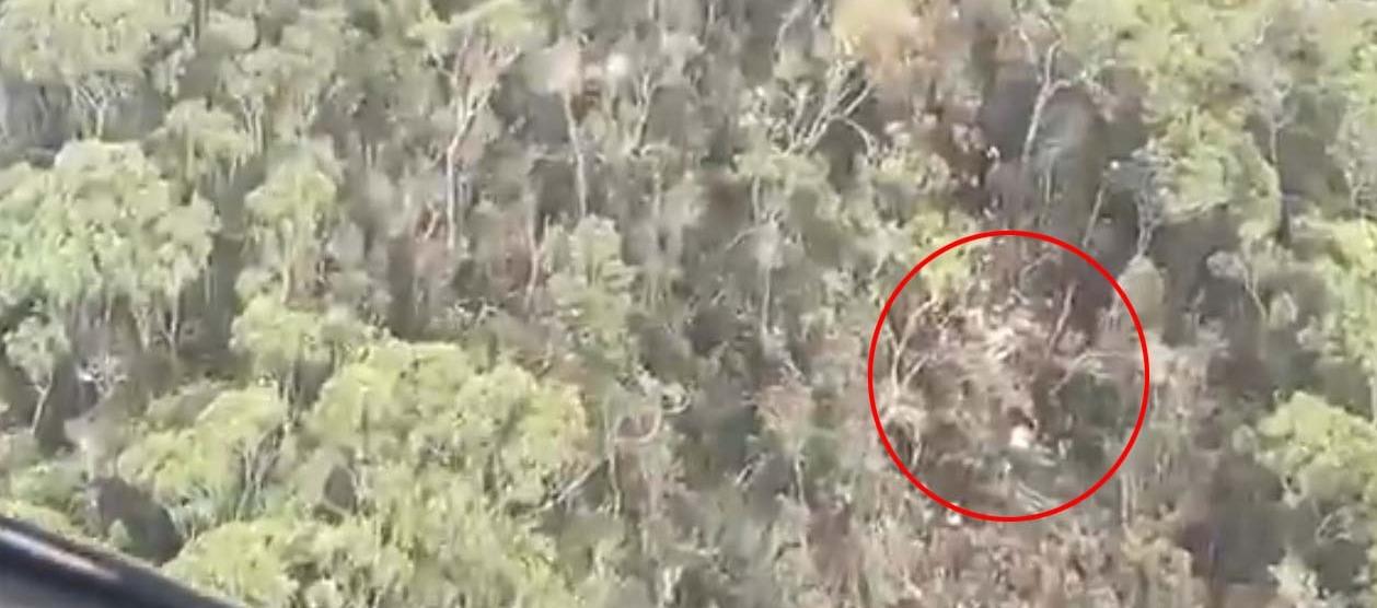 Lugar donde estarían los restos de la avioneta.