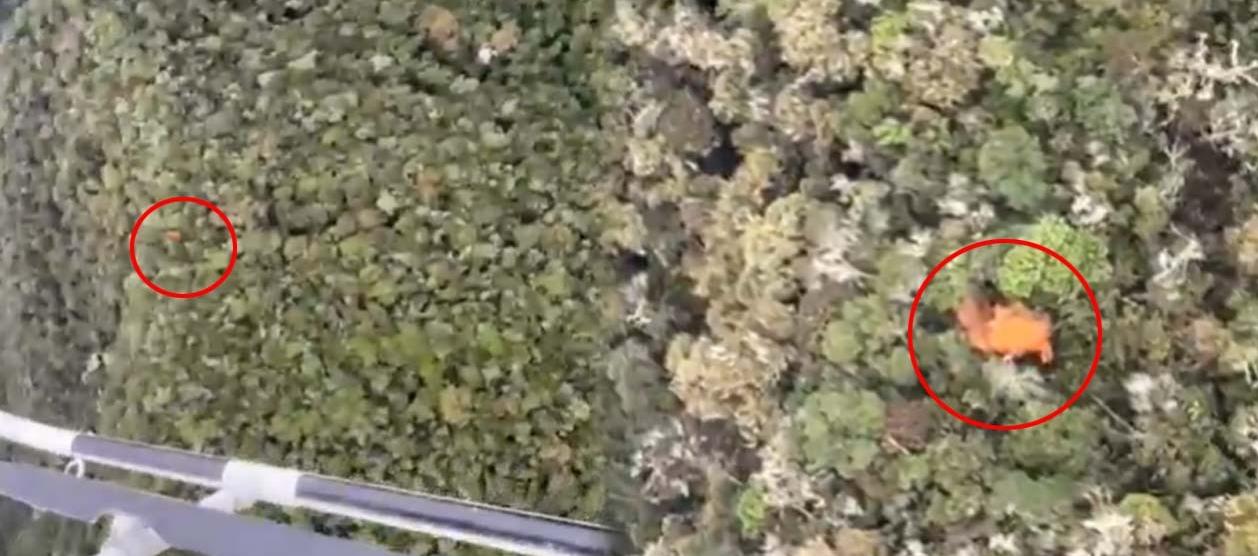 Lugar donde se accidentó aeronave.