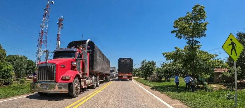 Imagen de referencia. 