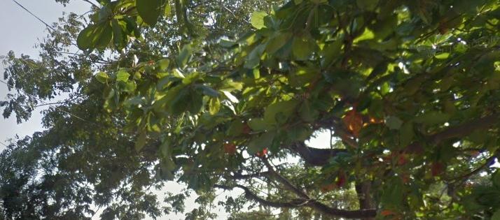 Lugar de los hechos en el barrio Rebolo.