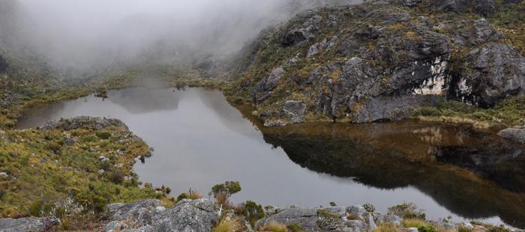 Imagen de referencia del Páramo de Santurbán.