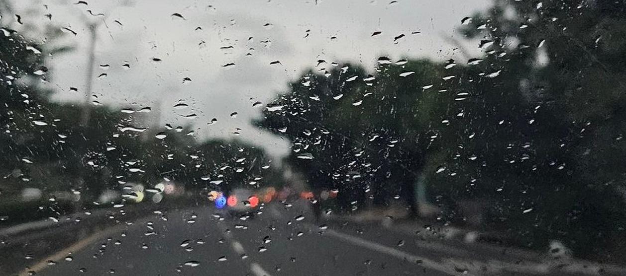 Imagen de referencia.