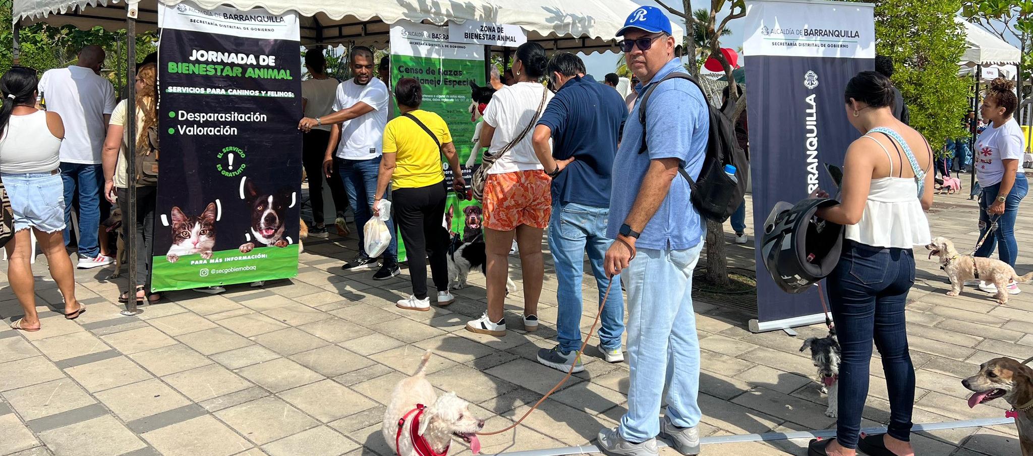 Jornadas de bienestar animal en Barranquilla.