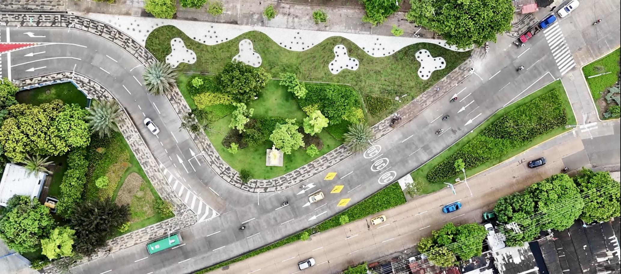 Panorámica de árboles sembrados en Barranquilla.