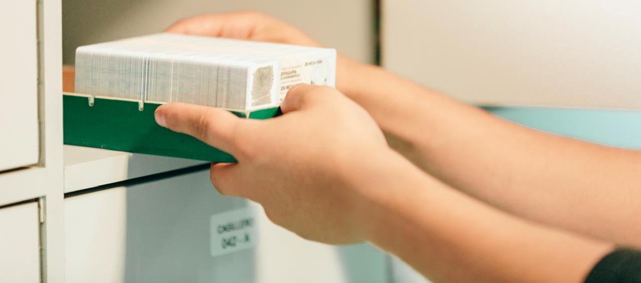 Imagen de referencia.