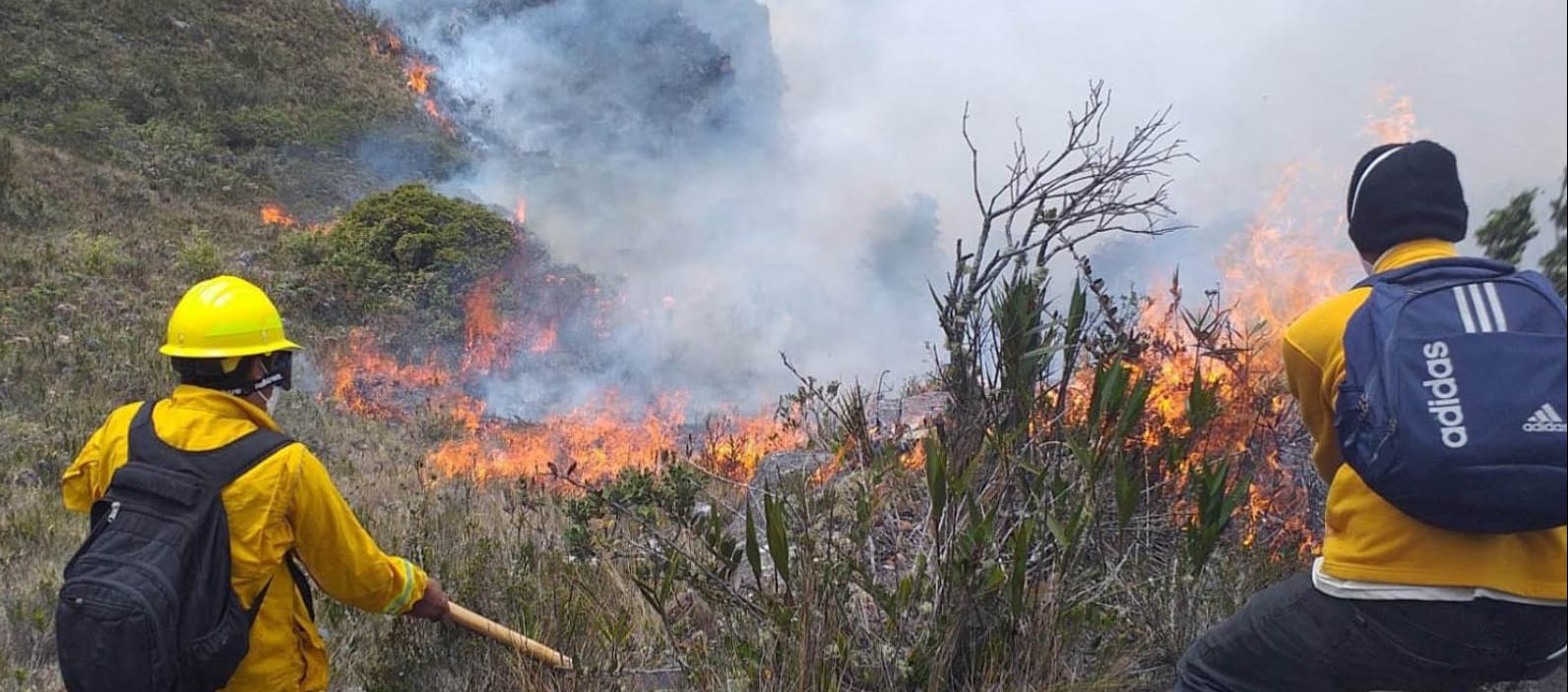 Imagen de referencia.