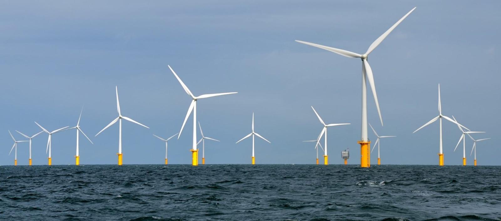 Imagen de referencia.