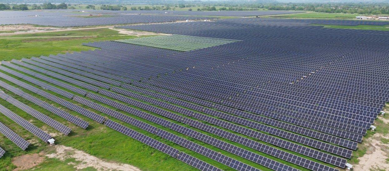 Imagen de referencia de un parque solar.