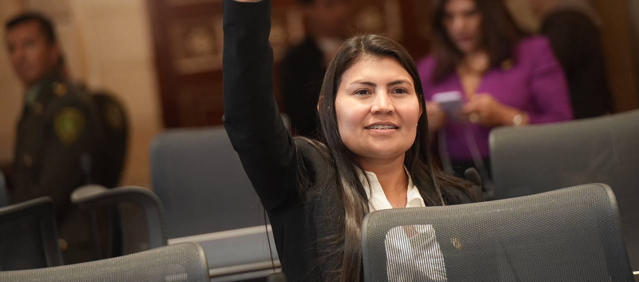 La representante Karen Manrique.