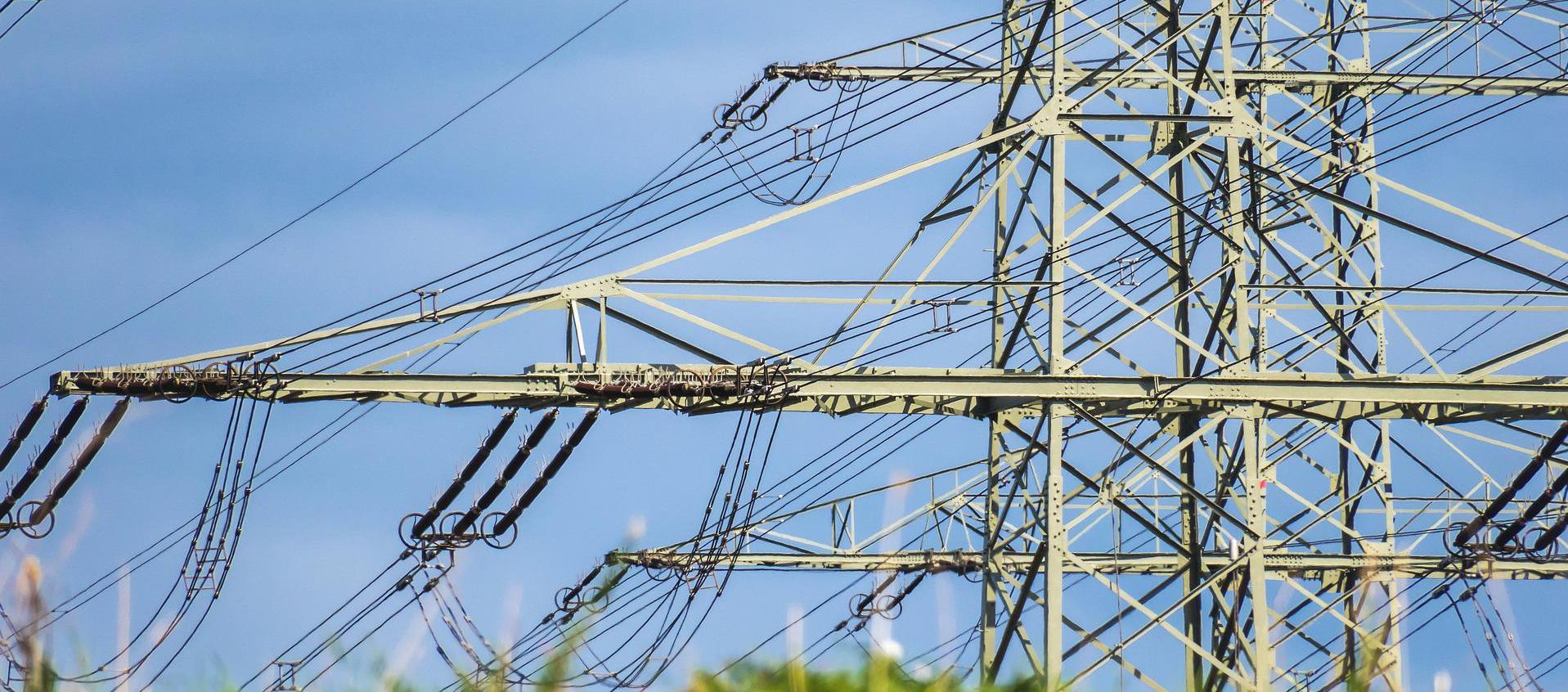 Imagen de referencia.