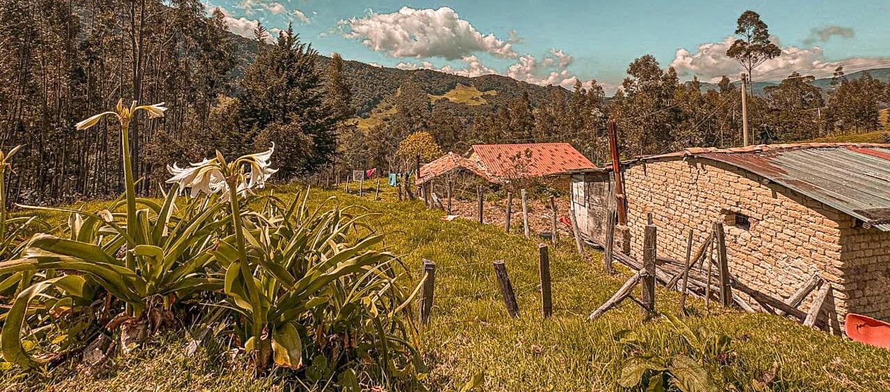 Imagen de referencia de un predio.