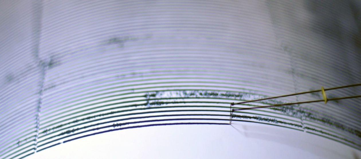 Imagen de referencia.