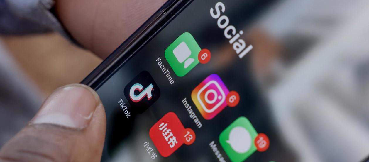 Imagen de referencia.