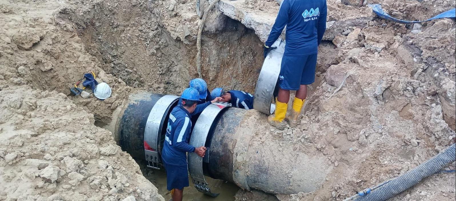 Imagen de referencia.