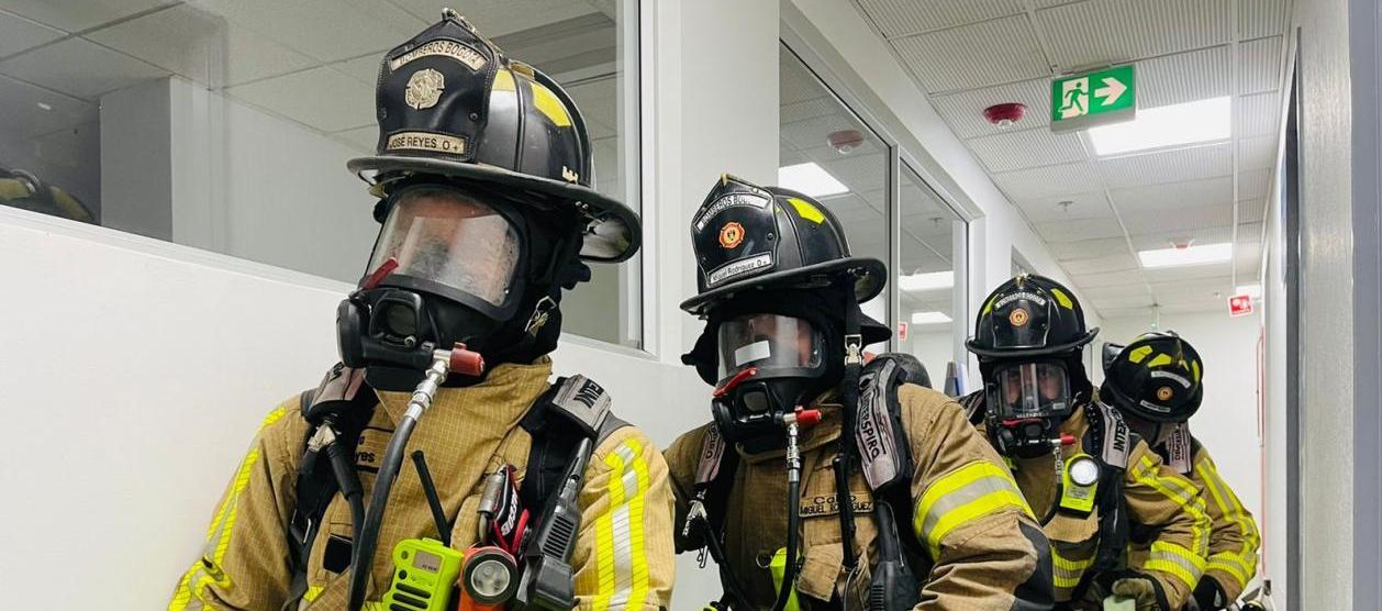 Imagen de referencia.