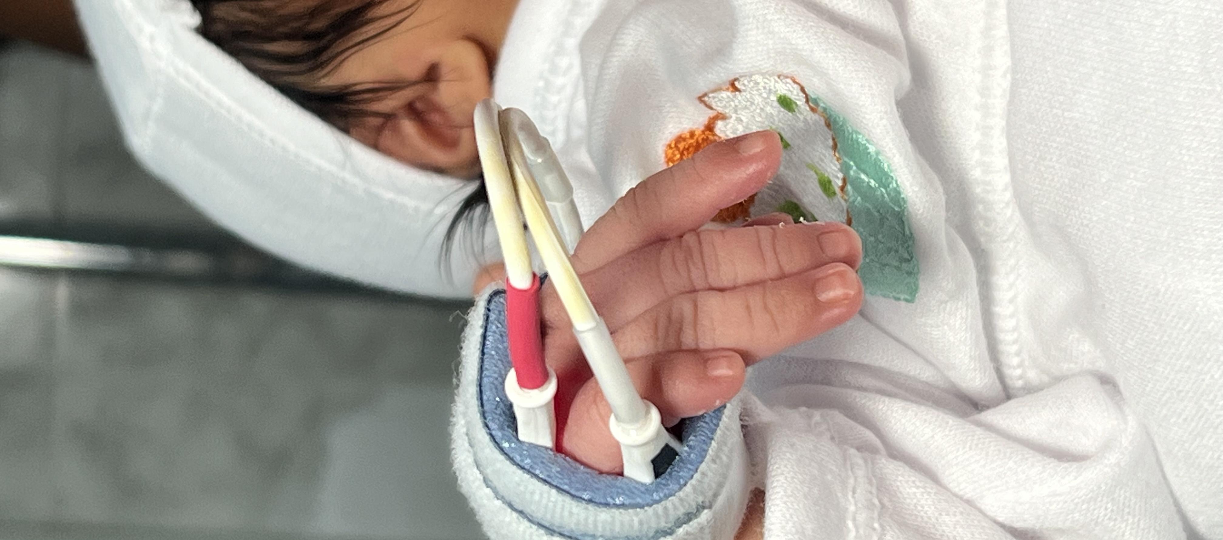 Imagen de referencia. 