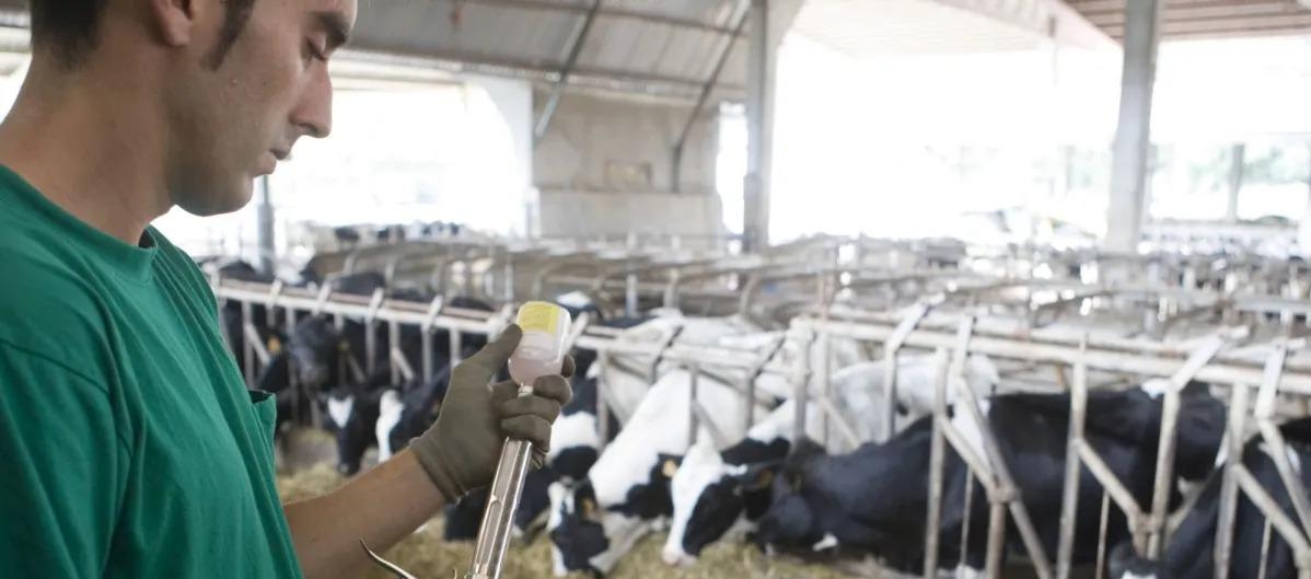 Imagen de referencia.