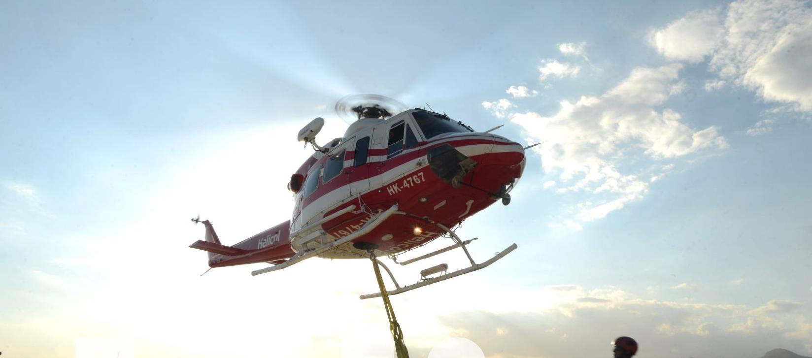 Imagen de referencia.