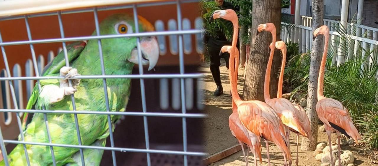 Estaban en un hotel de Santa Marta.