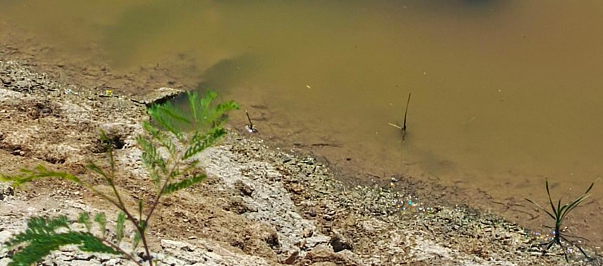 Arroyo del sector Villa San Carlos.