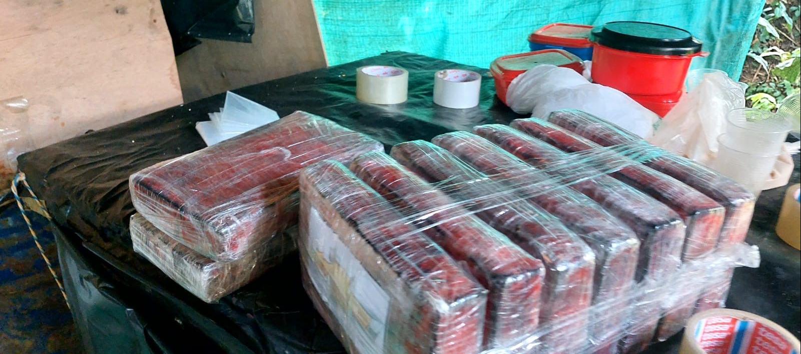 Parte de la cocaína incautada.