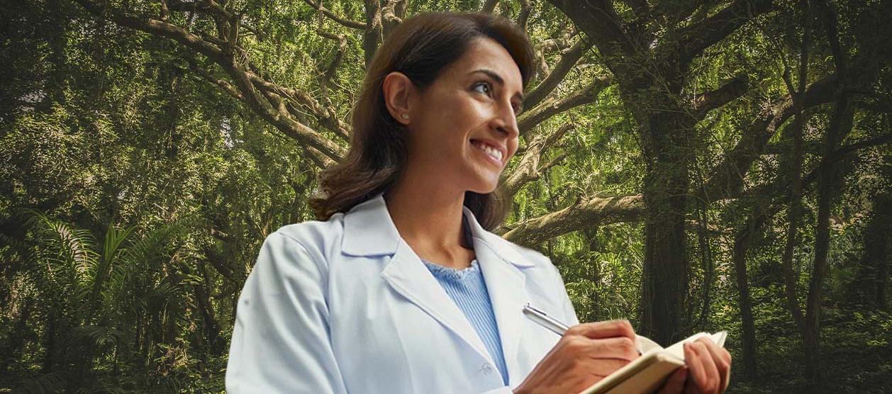 Imagen de referencia.