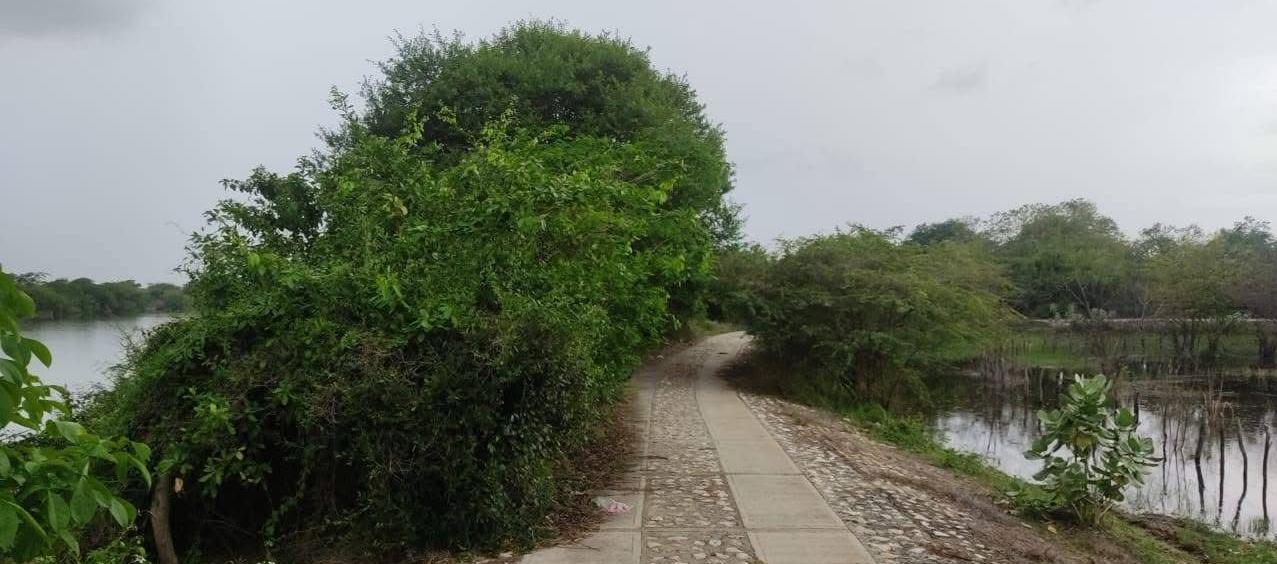 Lugar donde fue encontrado el cuerpo.