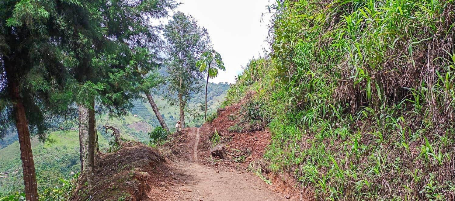 Zona rural del municipio de los Andes, Antioquia. 