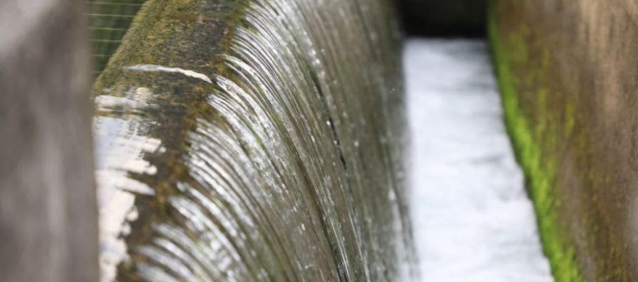 Imagen de referencia.