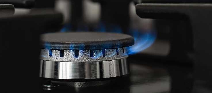 Imagen de referencia.