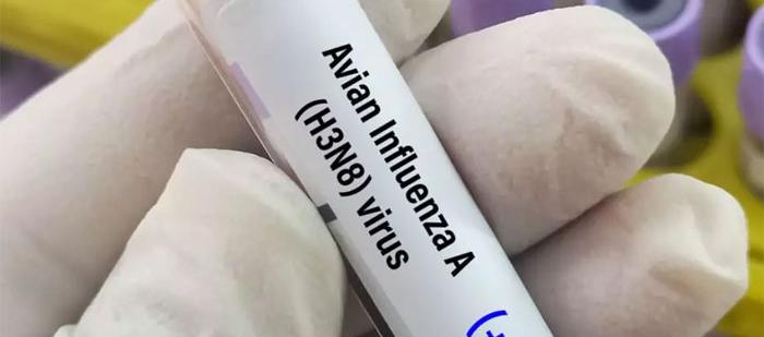 Imagen de referencia.