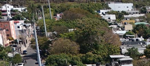El techo de la discoteca cedió cuando se ofrecía un concierto en el lugar. 