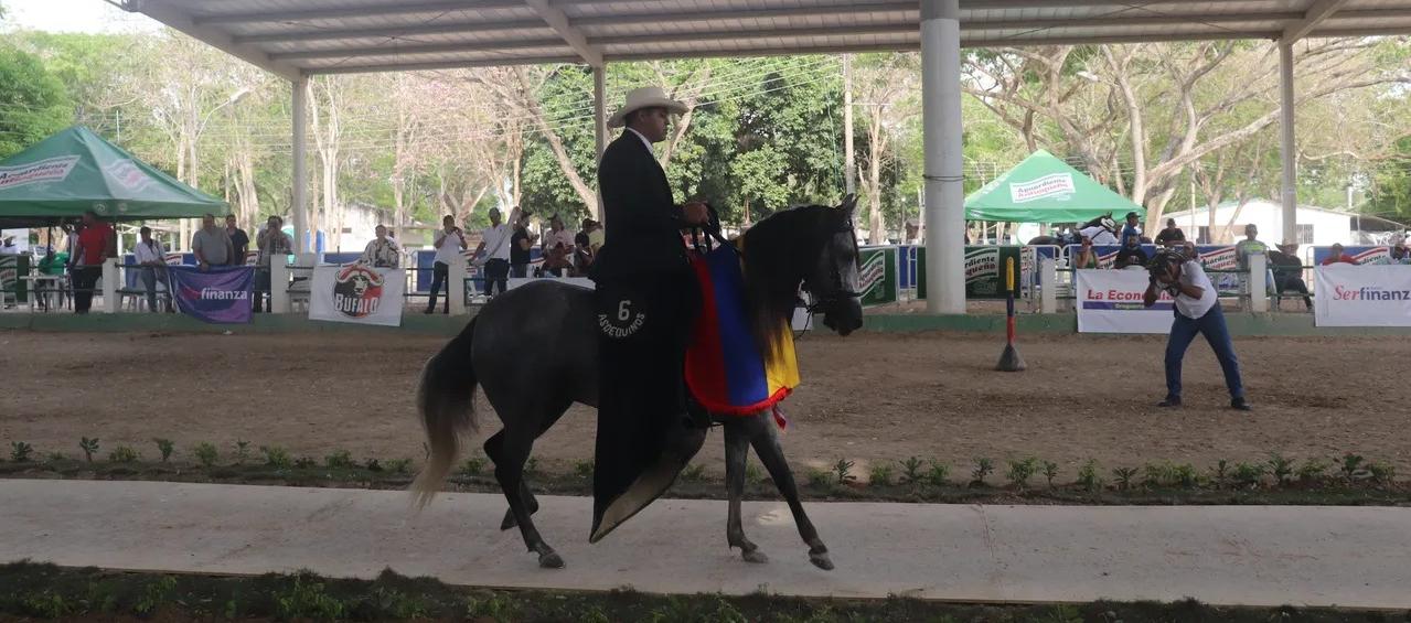 Participarán 200 caballos en la demostración. 