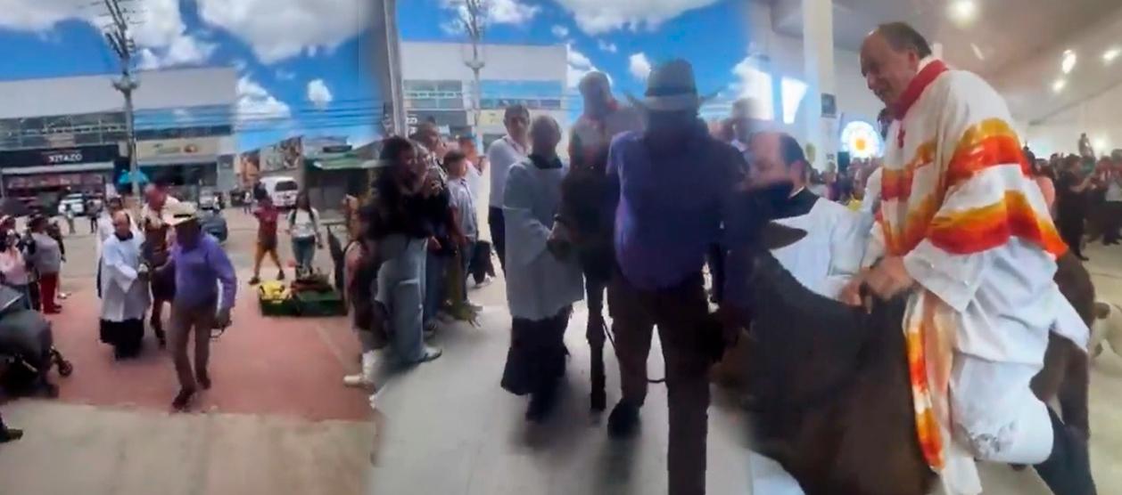 Imágenes de lo sucedido.