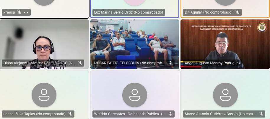 Aspecto de la audiencia virtual de este martes contra los 17 capturados. 