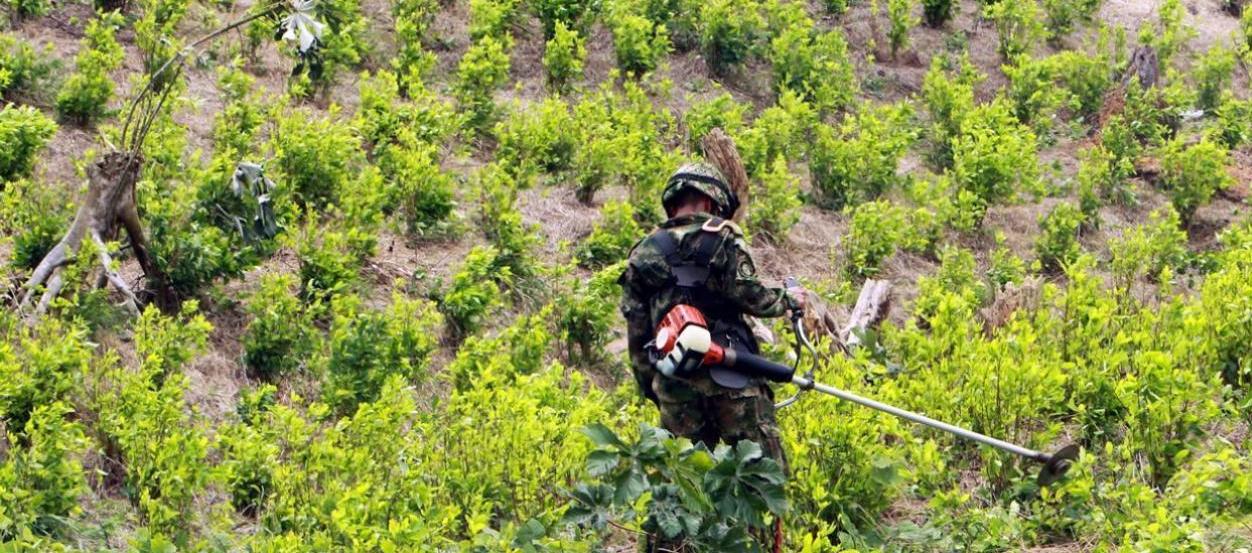 Imagen de referencia.