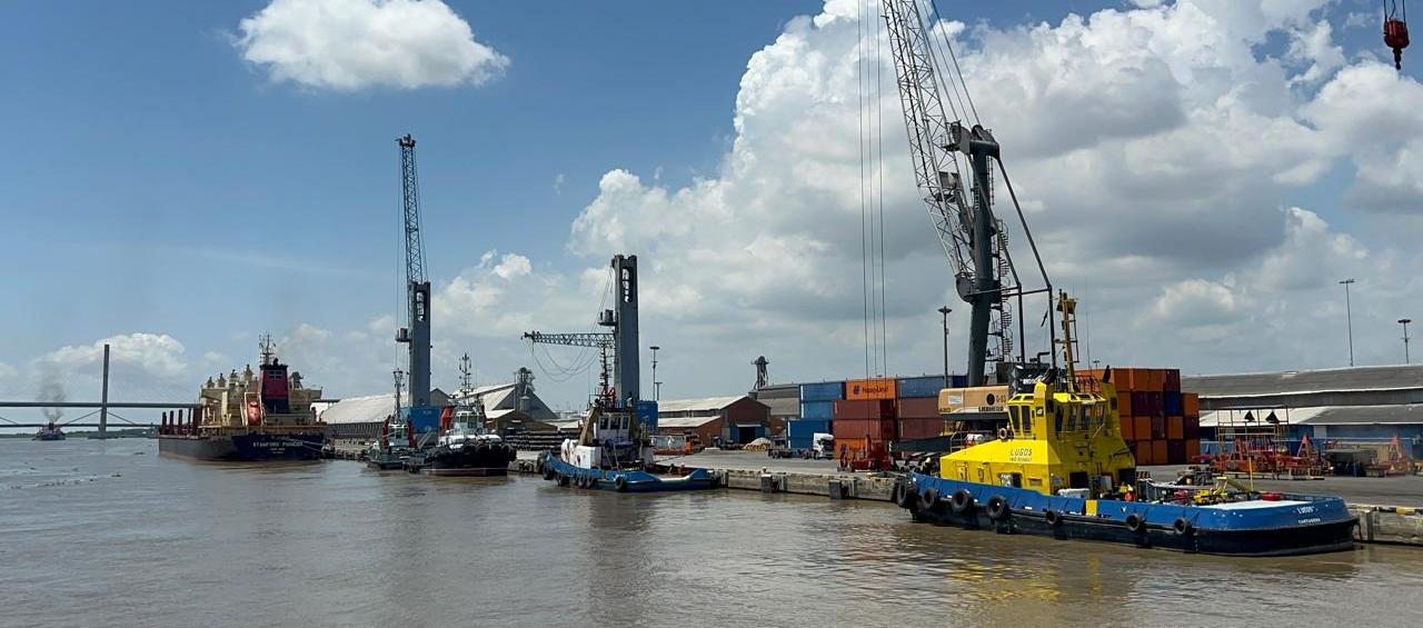 Imagen de referencia.