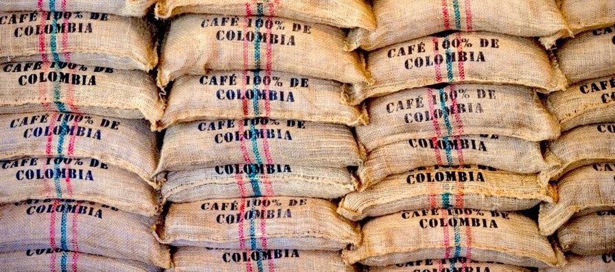 Imagen de referencia.