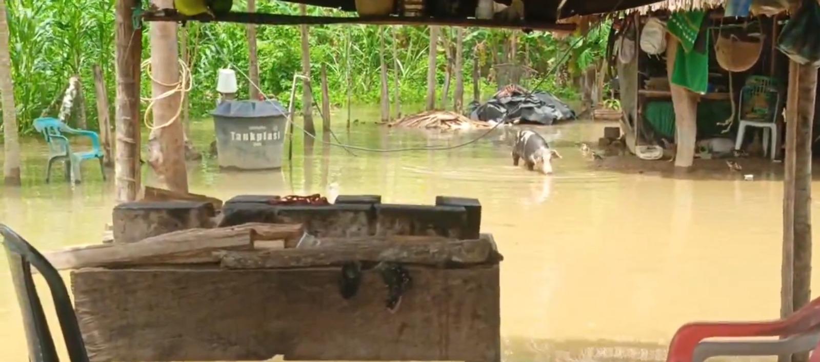 Inundaciones en La Mojana por desbordamiento del Río Cauca.