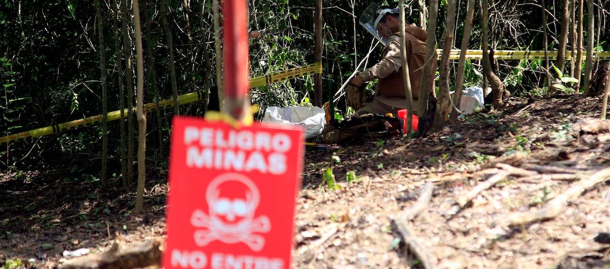 Imagen de referencia.