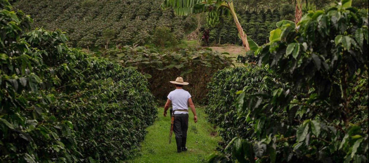 Imagen de referencia.