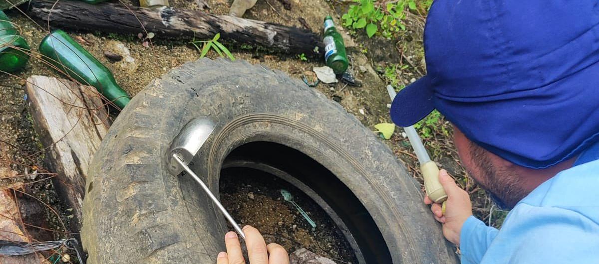 Vigilancia vectorial en la provincia de Loja.