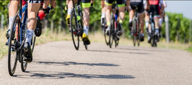 Imagen de referencia.