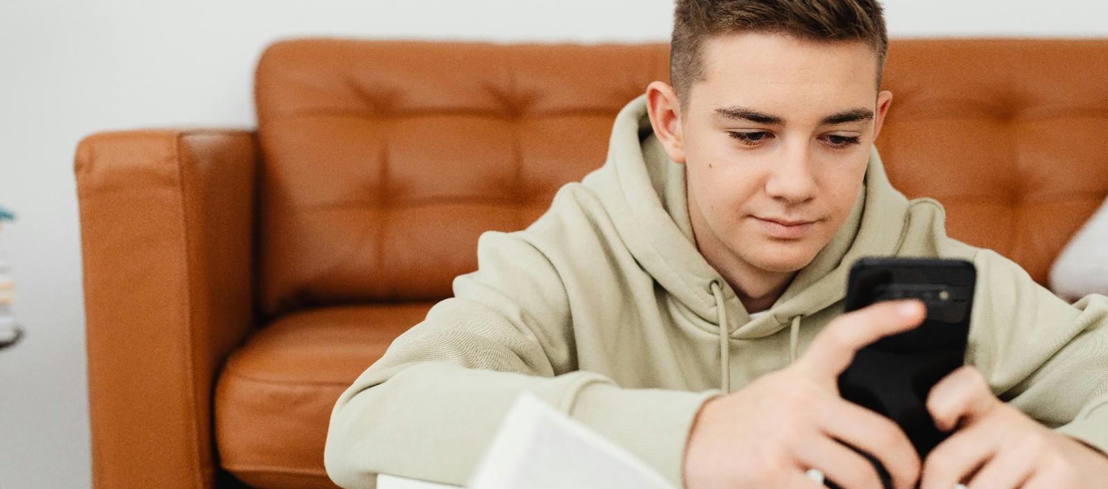 Imagen de referencia.