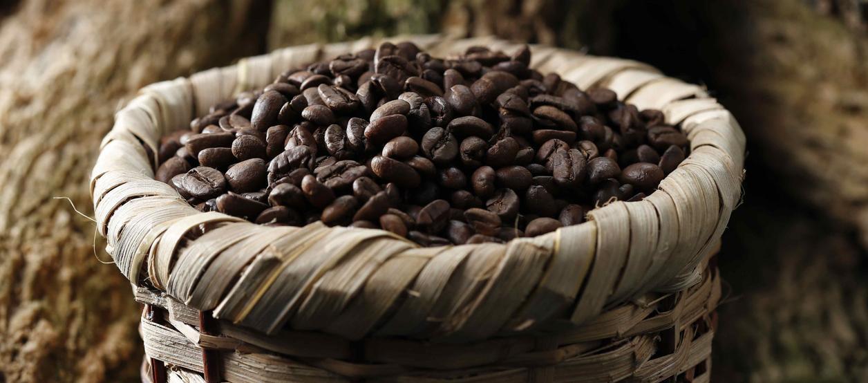 Imagen de referencia.