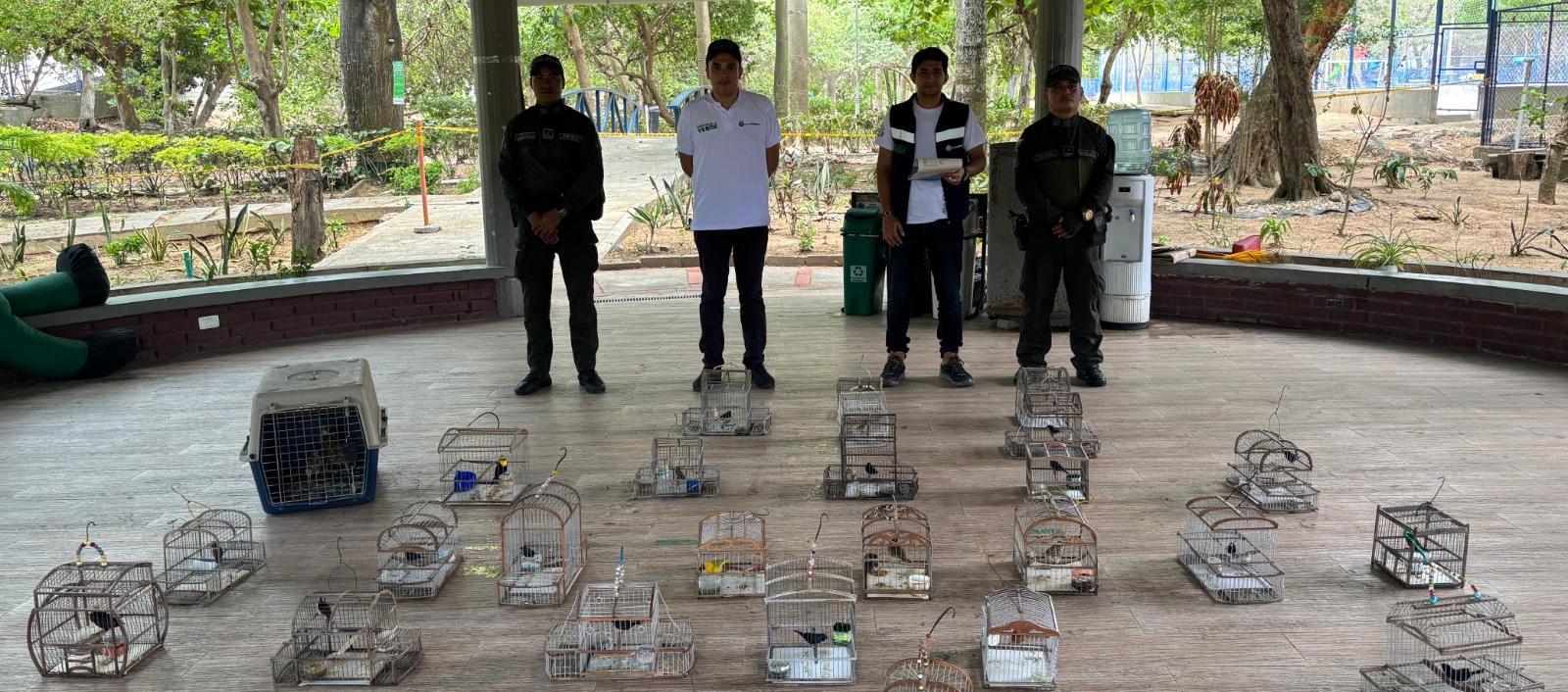 Animales incautados por las autoridades. 