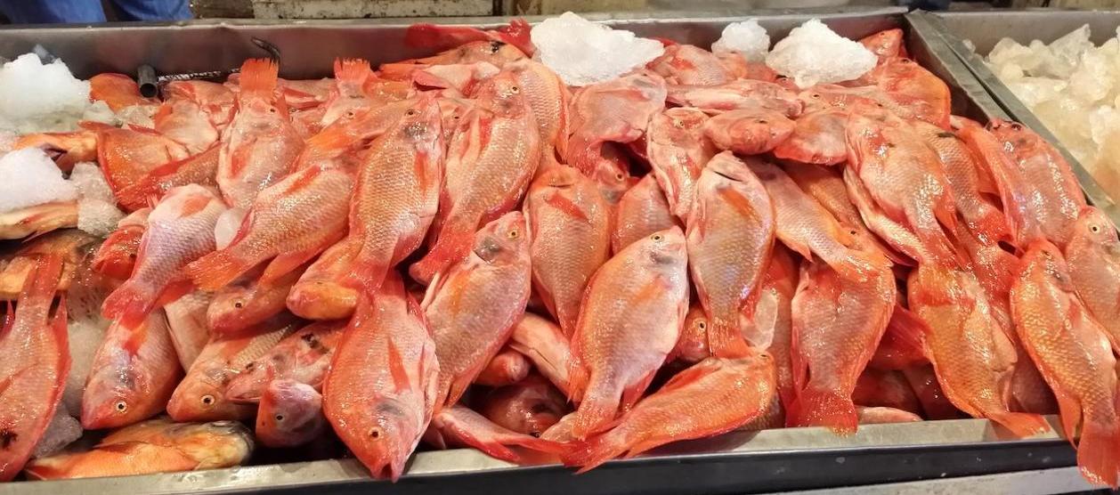 MinSalud recomendó comprar pescados y maricos en sitios autorizados y con condiciones salubres. 