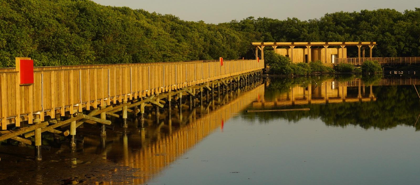  Ecoparque Ciénaga de Mallorquín, un espacio vivo de conexión. 